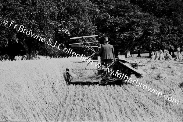 THRESHING AT ST MARYS